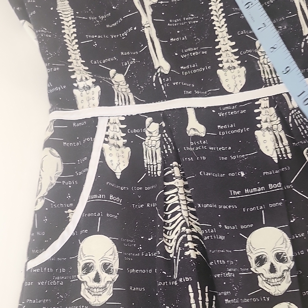 Modcloth Rad To The Bone Retro A-line Dress - Picture 5 of 10